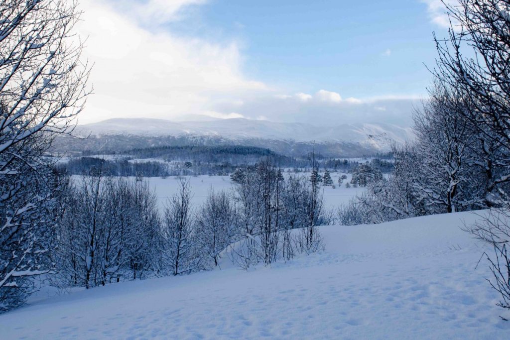 Udsigt ud over sneen i Tromsø, Norge