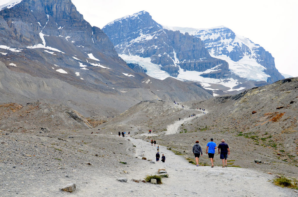 Athabasca-gletsjeren i Columbia Icefields