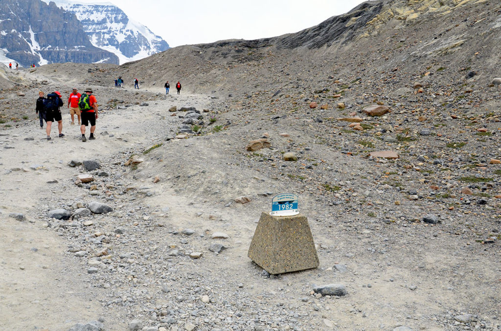 Gletsjer i Columbia Icefields i Canada