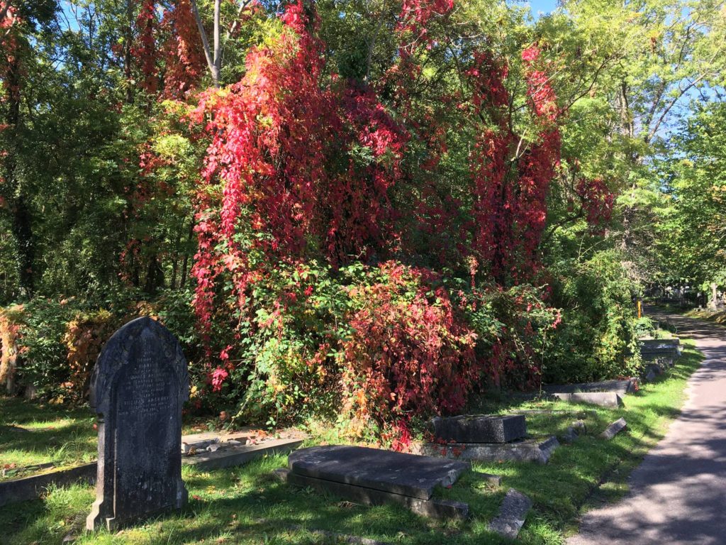 Highgate Cemetery East en sensommerdag