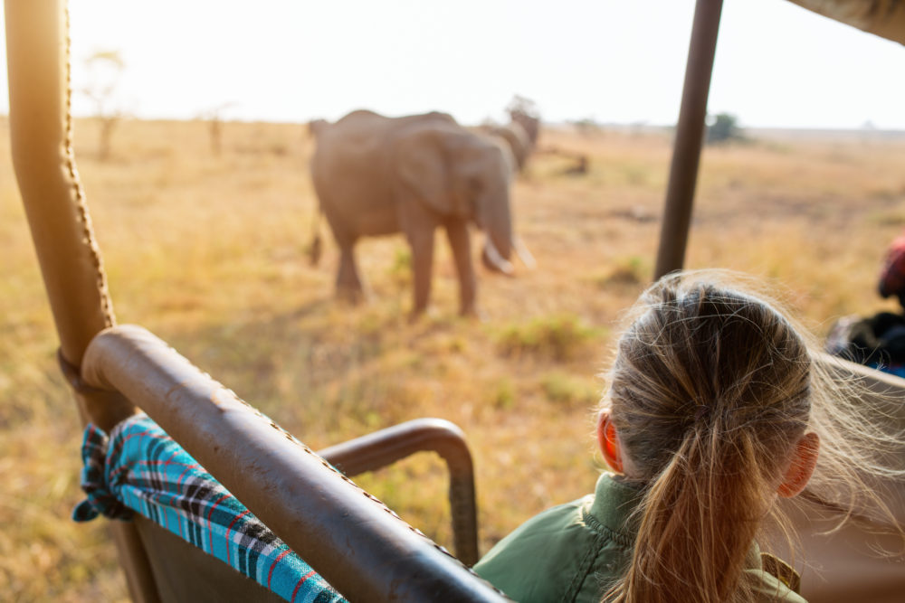 Safari
