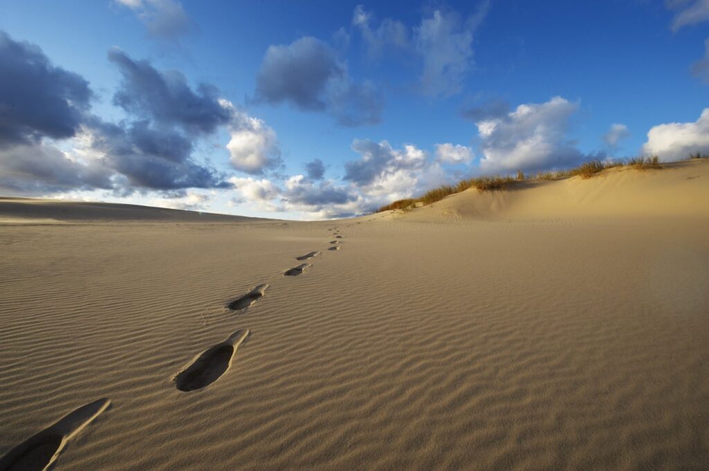 Gratis oplevelser i Nordjylland