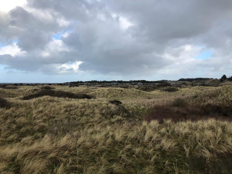 Skallerup Klit