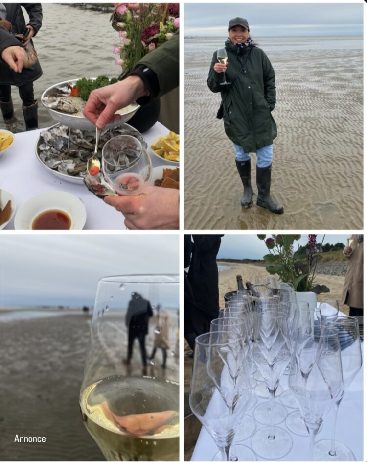 Østerssafari i Vadehavet